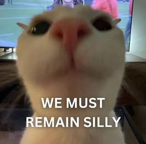 We Must Remain Silly Cat