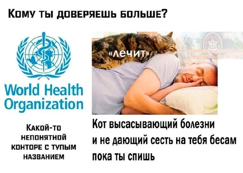 Кому ты доверяешь больше?