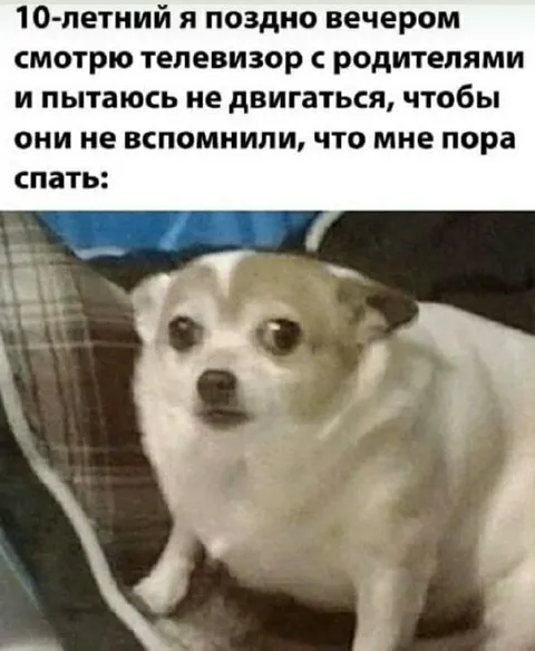 Ребёнок притворяется неподвижным