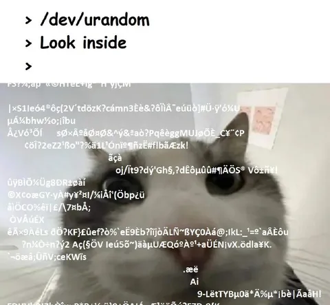 Look Inside /dev/urandom