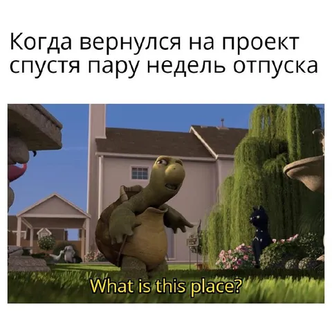 Черепаха вернулась на проект