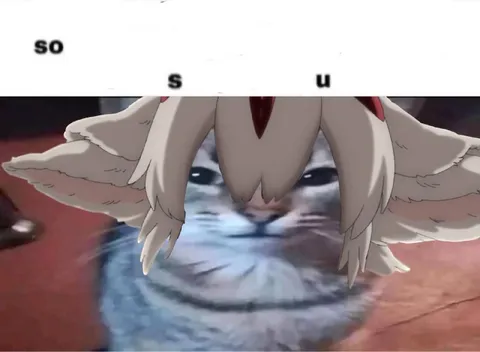 So S U Cat Confusion