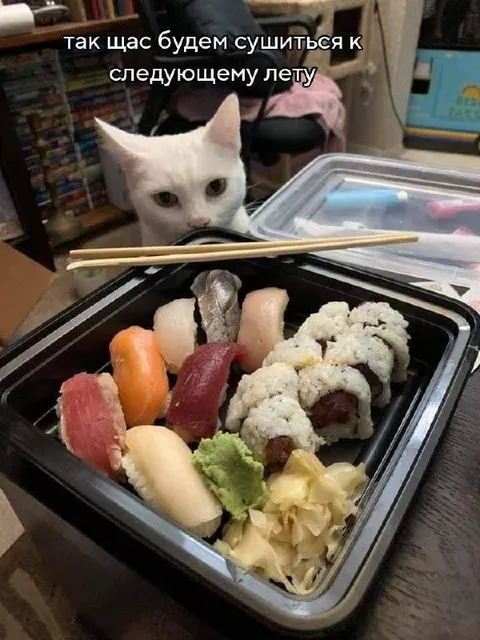 Сушимся к следующему лету