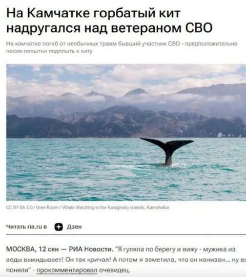 Горбатый кит надругался над ветераном СВО