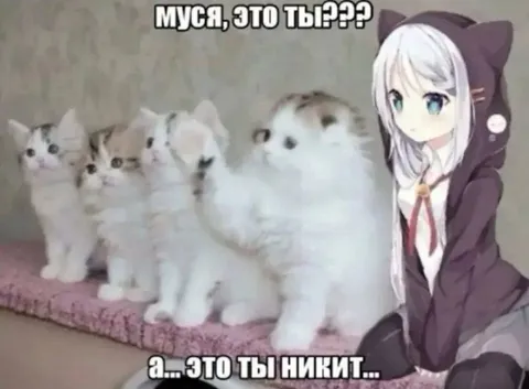 Муса, это ты?