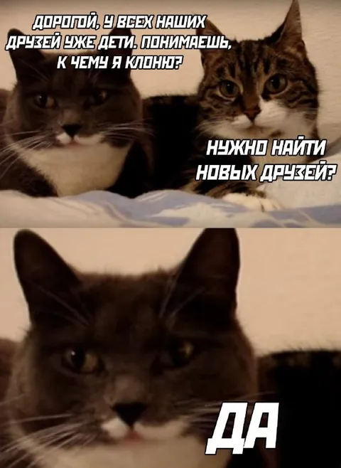 Найти новых друзей