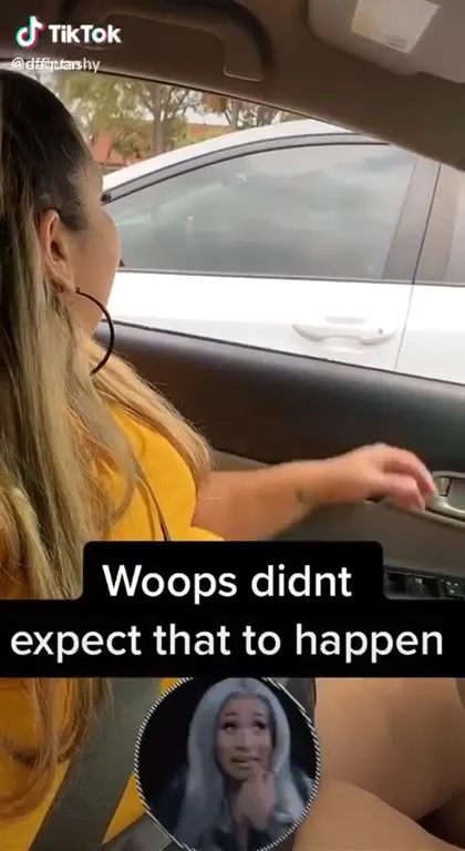 Unexpected Car Window Encounter