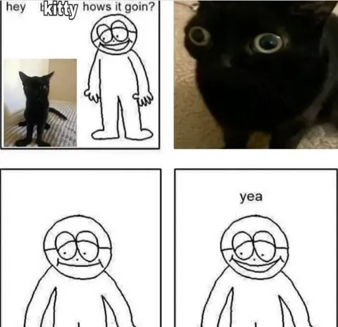 Hey Kitty Hows It Goin