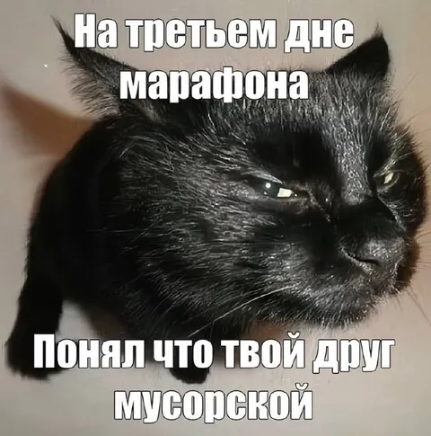 Кот понял, что друг мусорской