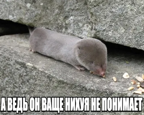 Он вообще ничего не понимает