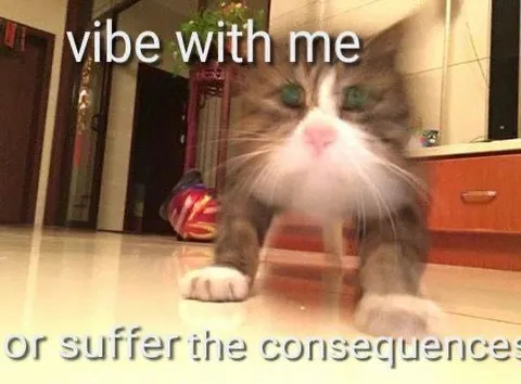 Vibe With Me Cat
