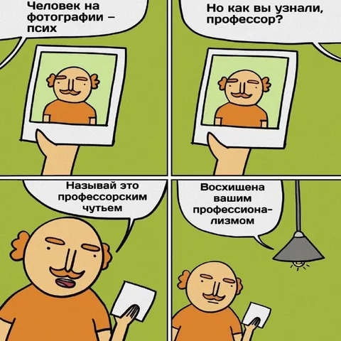 Профессорское чутьё