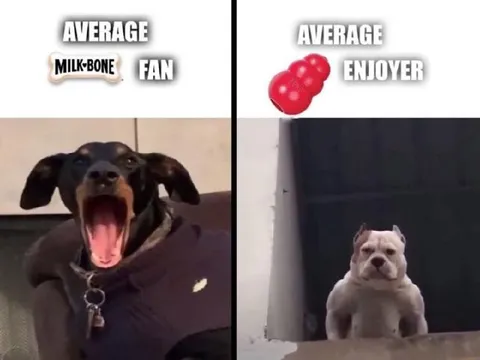 Average Milk-Bone Fan vs Enjoyer