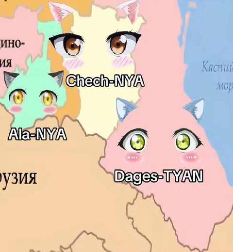 Коты на карте Кавказа