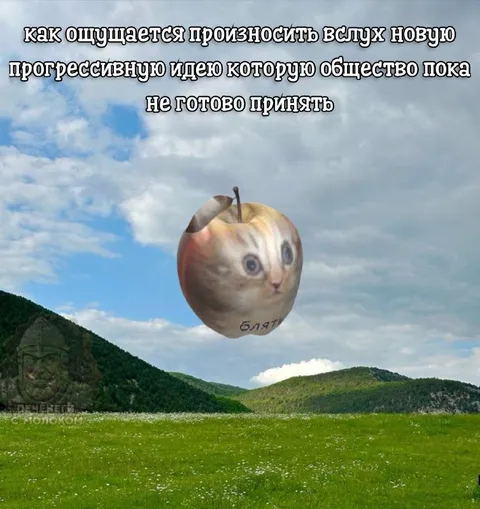 Прогрессивная идея общества