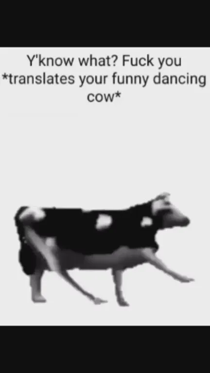 Translates Your Funny Dancing Cow