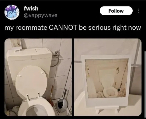 Roommate Cannot Be Serious