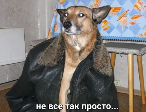 Не все так просто