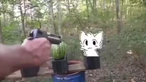 Пистолет и белый кот в лесу