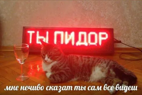 Ты сам всё видишь
