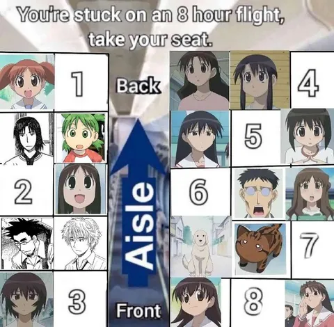 Eight-Hour Flight Seat Chart