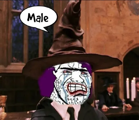 Male Sorting Hat Breakdown