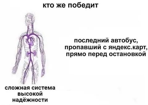 Кто же победит: автобус или система