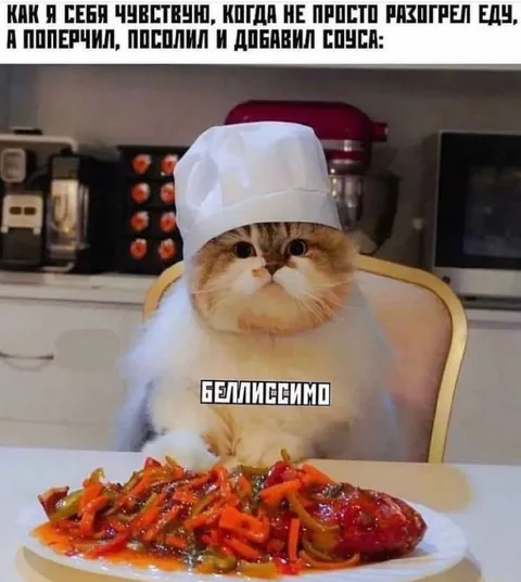 Кот-повар наслаждается едой