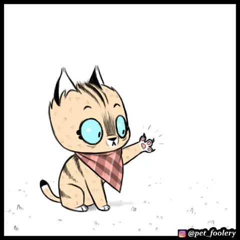 Котик машет лапкой
