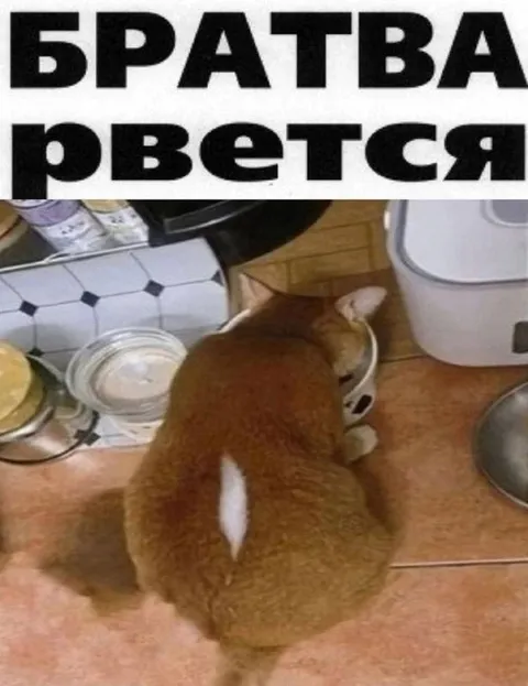 Братва, рвется