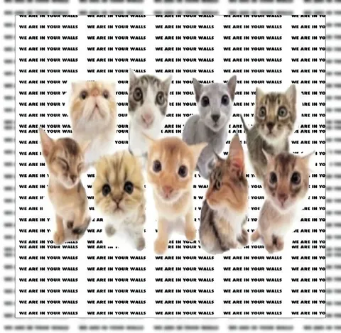 We Are in Your Walls Kittens