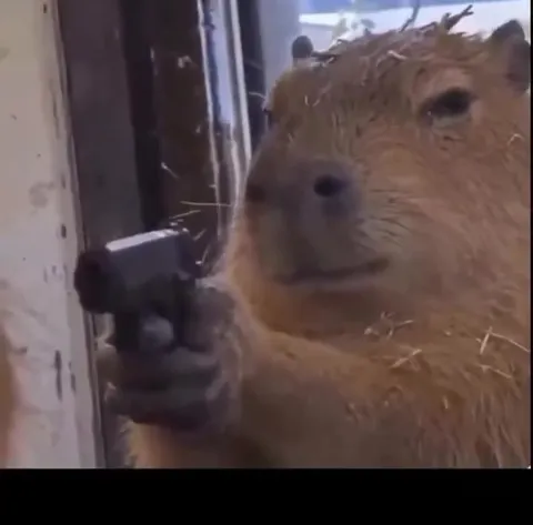 Капибара у двери