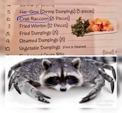Crab Raccoon Dumplings