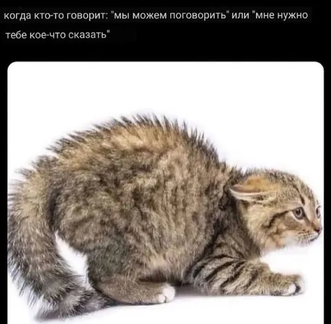 Когда нужно серьёзно поговорить