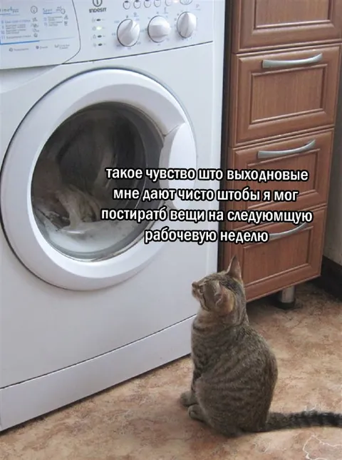 Выходные для стирки