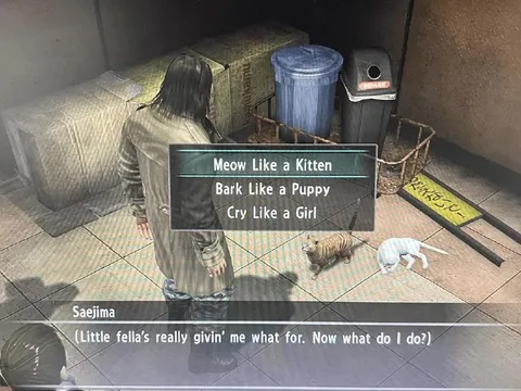Saejima’s impossible kitten choice