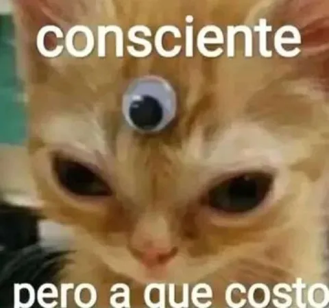 Consciente pero a qué costo