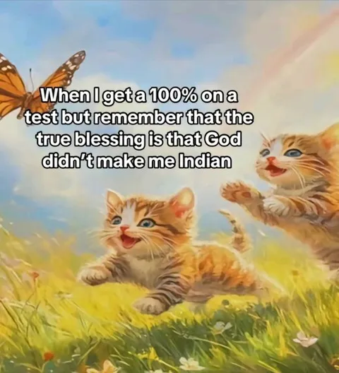 Perfect Test Score Cats