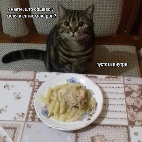 Пустота внутри у кота и макарон