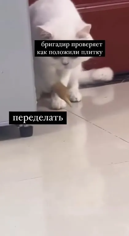 Бригадир проверяет плитку