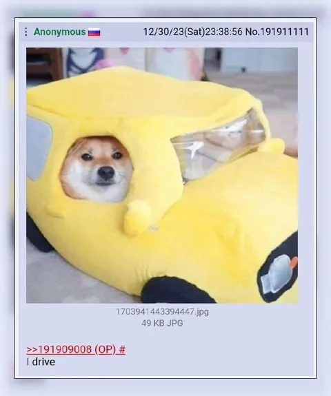 Shiba Inu Says I Drive