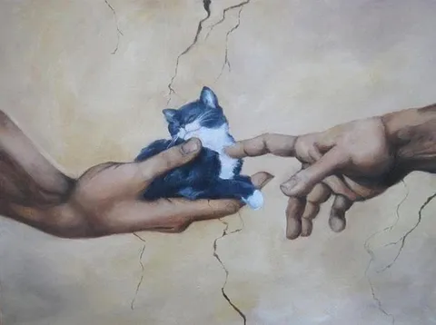 Божественное прикосновение к коту