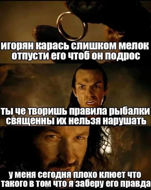 Карась и священные правила рыбалки