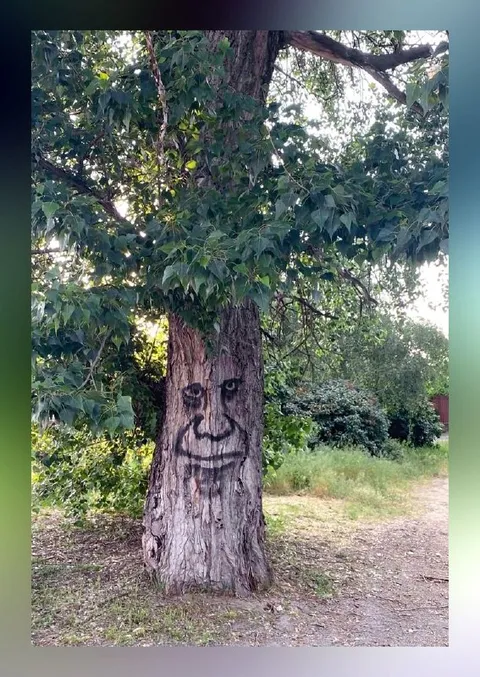 Улыбающееся лицо на дереве