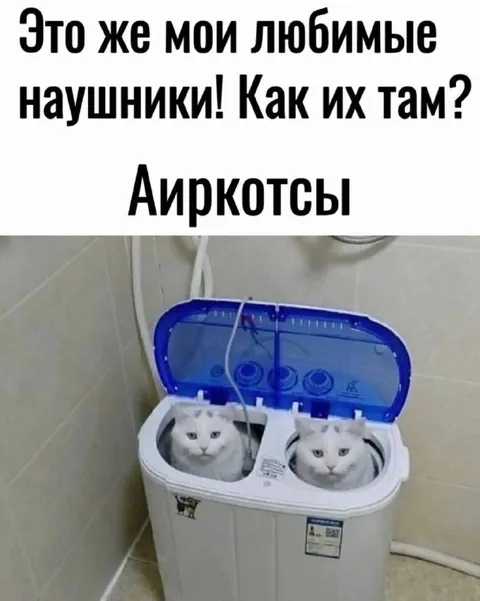 Любимые наушники Аиркотсы