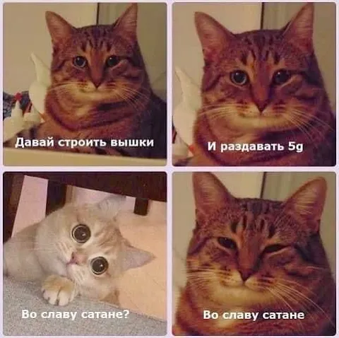 Коты строят вышки 5G сатане