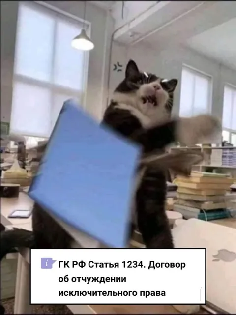Кот защищает исключительное право
