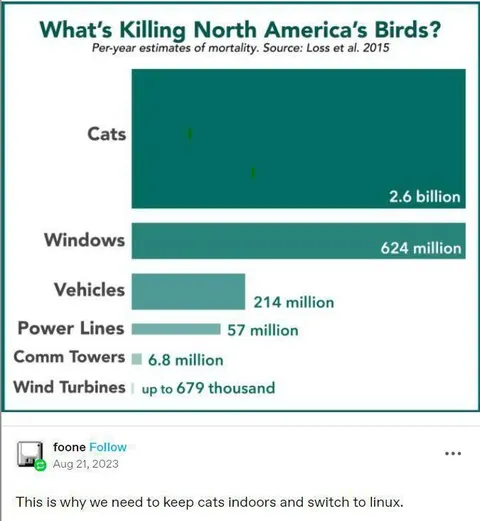 Cats Are Killing Birds