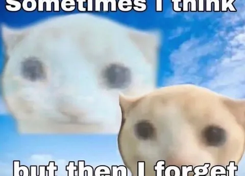 Sometimes I Think but Then I Forget