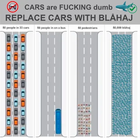 Replace Cars With Blåhaj